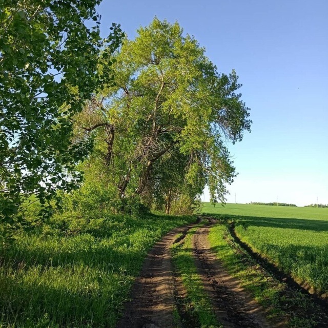 Channel Photo