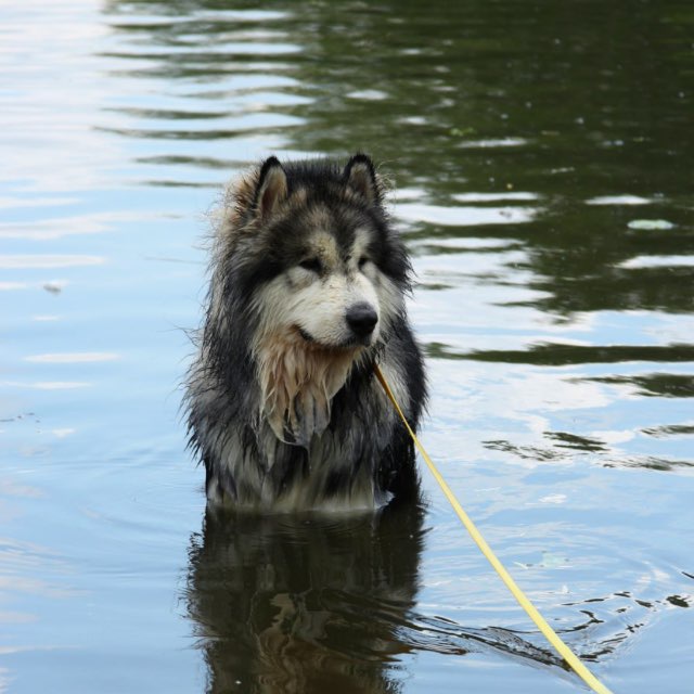 Channel Photo
