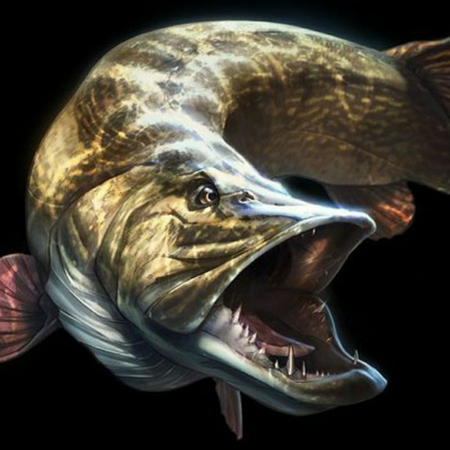 Channel Photo