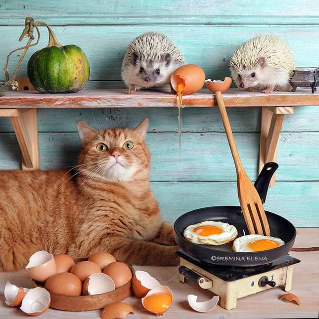Photo