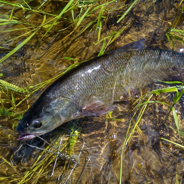 Channel Photo