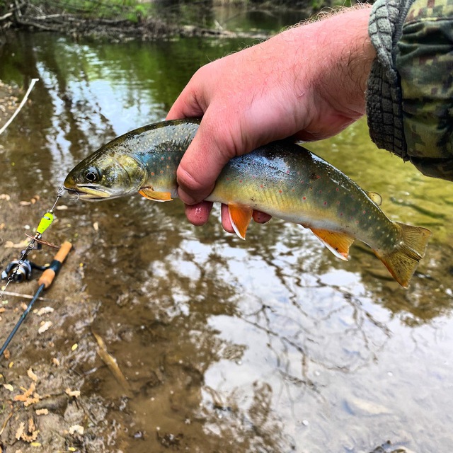Channel Photo
