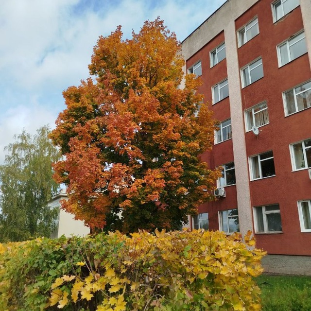 Channel Photo