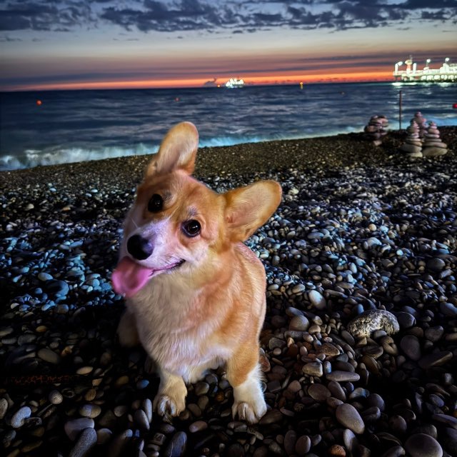 Channel Photo
