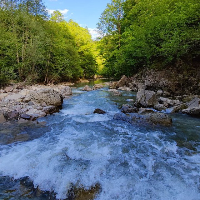 Channel Photo