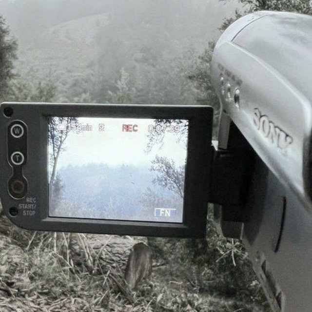 Channel Photo
