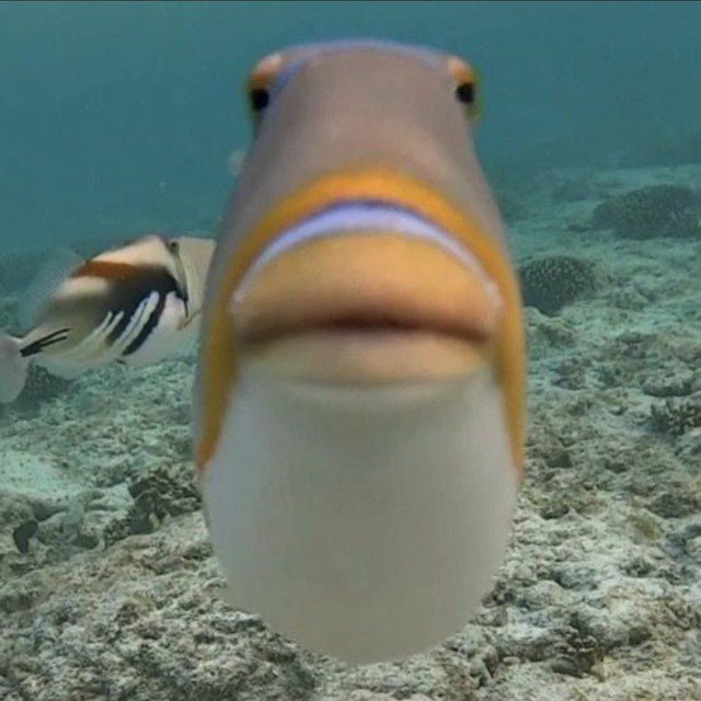 Channel Photo