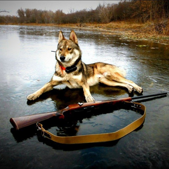Channel Photo