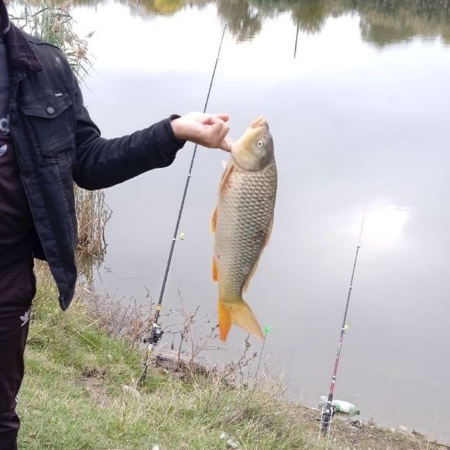 Channel Photo