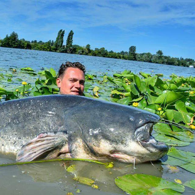 Channel Photo