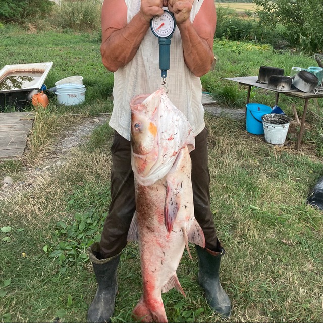 Channel Photo