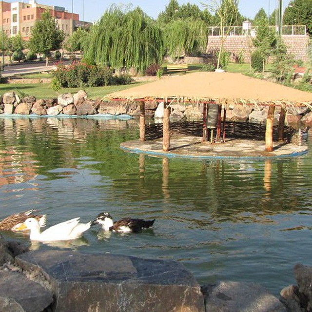 Channel Photo