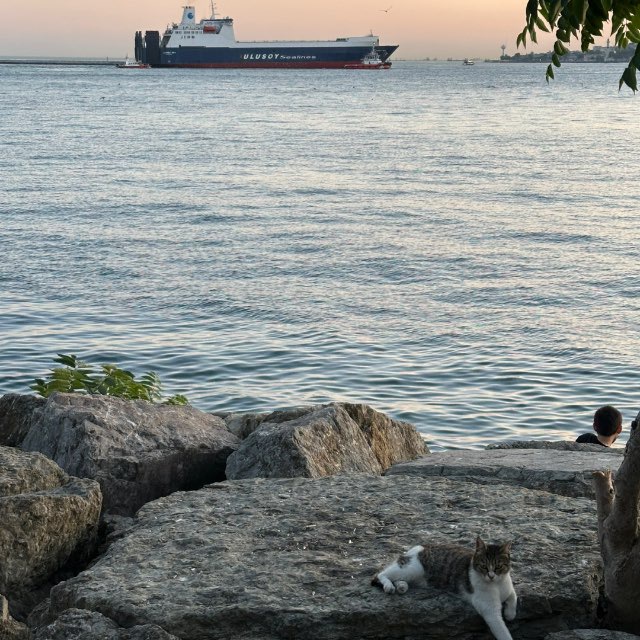 Channel Photo