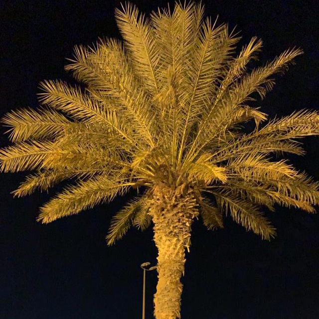 Channel Photo