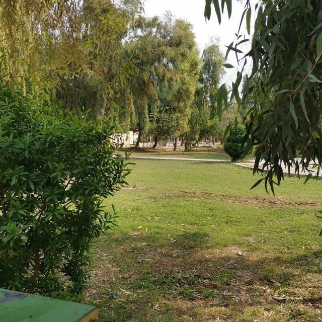 Channel Photo