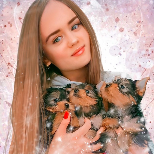 Channel Photo