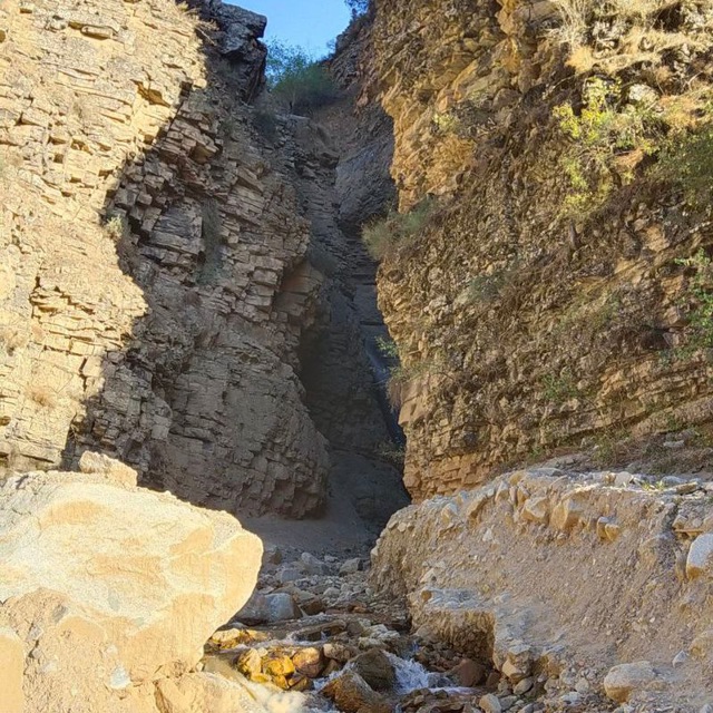Channel Photo