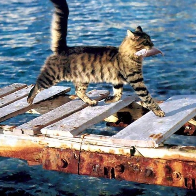 Channel Photo