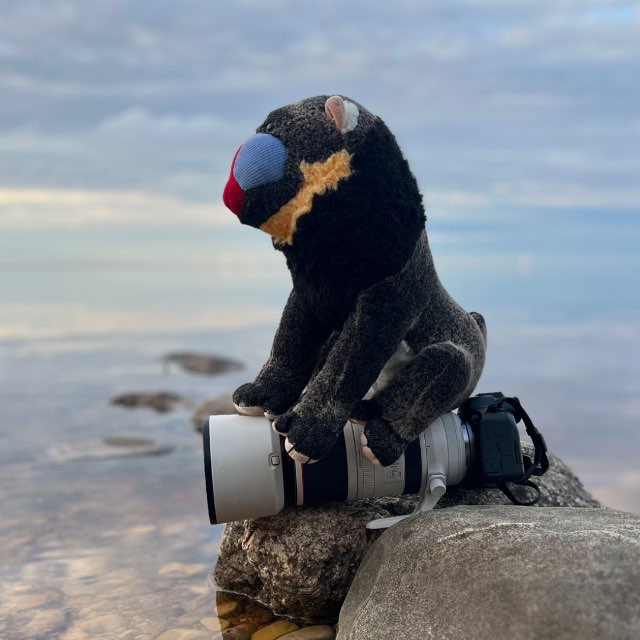 Channel Photo