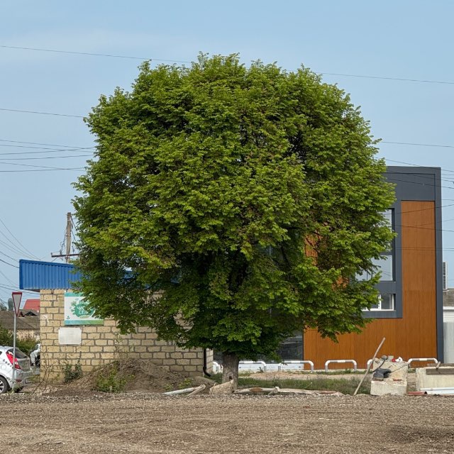 Channel Photo