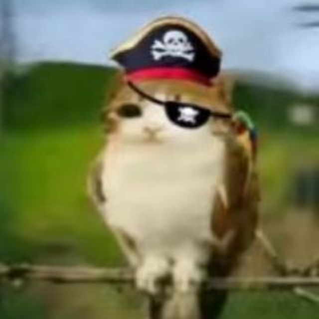 Channel Photo