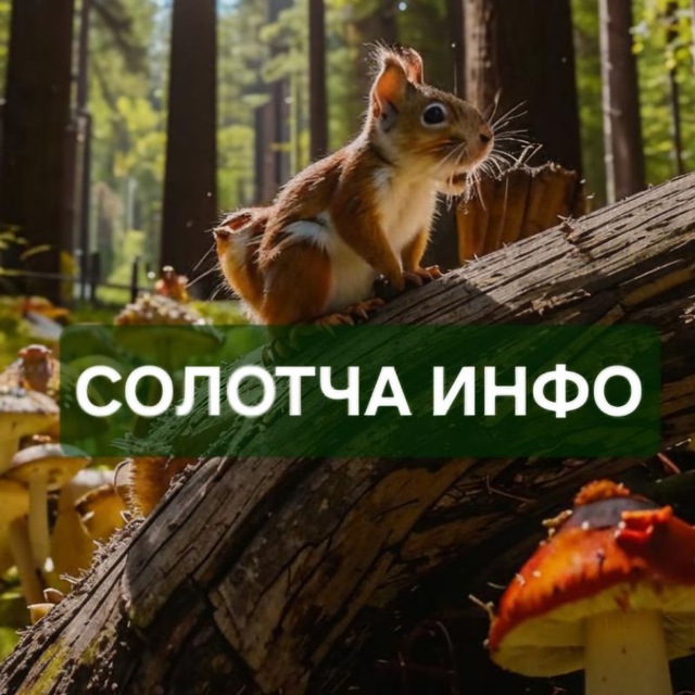 Channel Photo