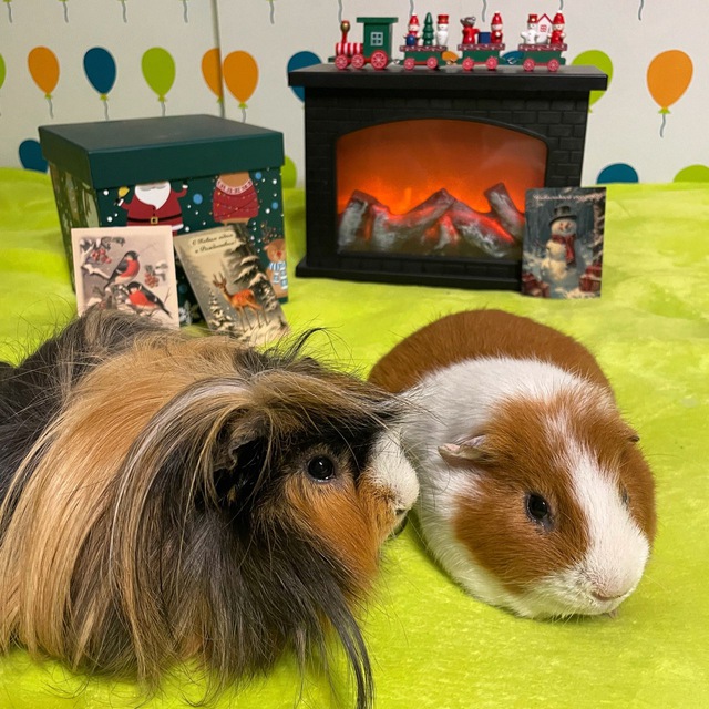 Channel Photo