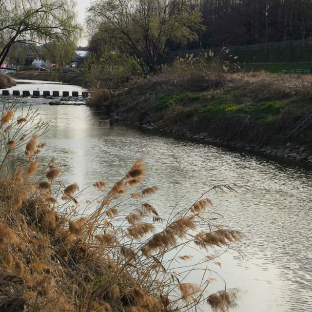 Channel Photo