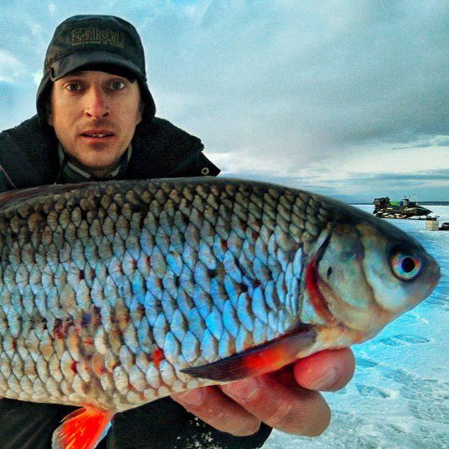 Channel Photo