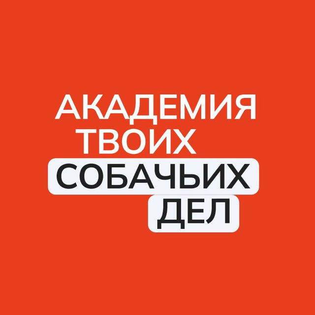 Channel Photo