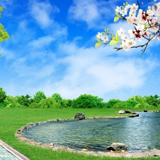 Channel Photo