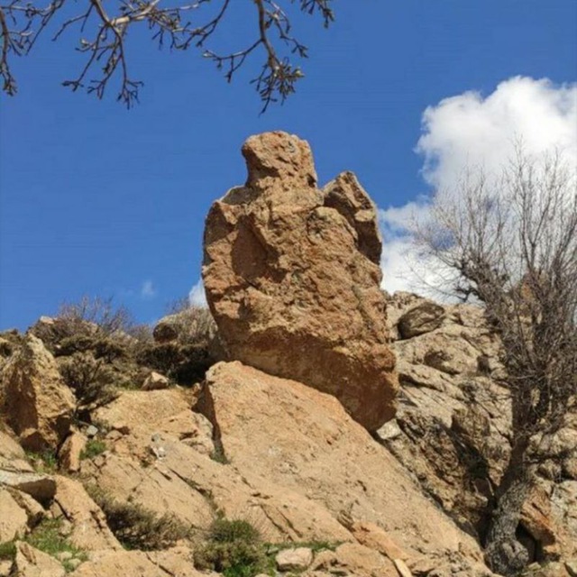 Channel Photo