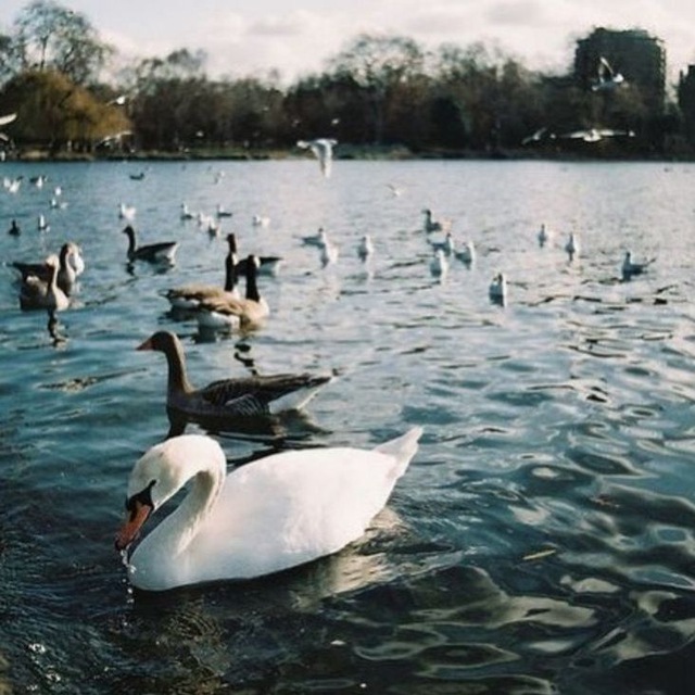 Channel Photo