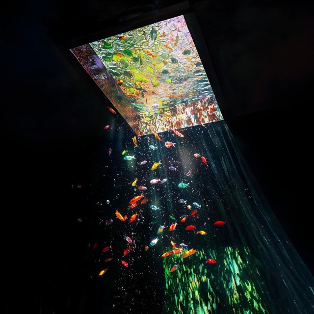 Channel Photo