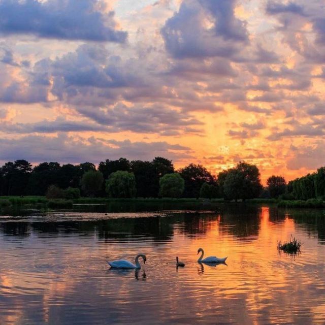 Channel Photo