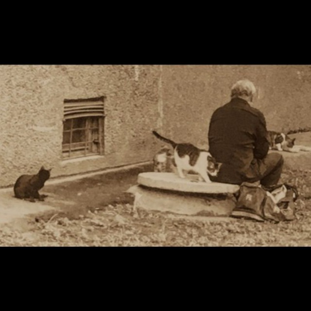 Channel Photo
