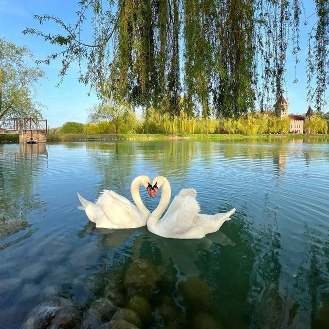 Channel Photo