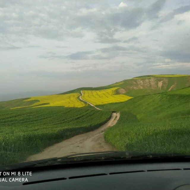 Channel Photo
