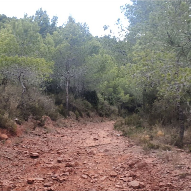Channel Photo