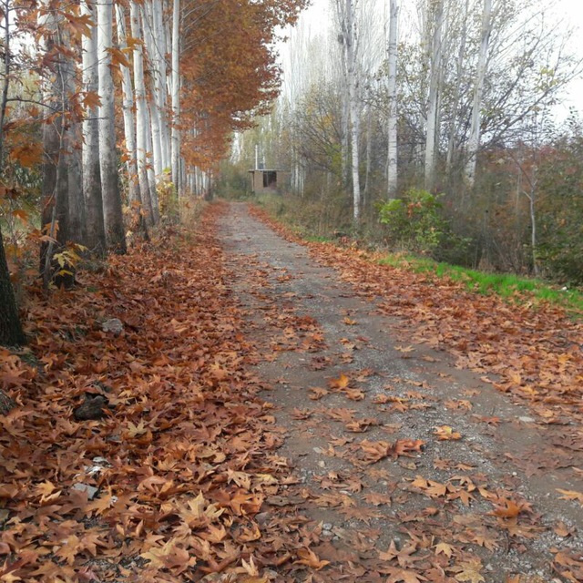Channel Photo