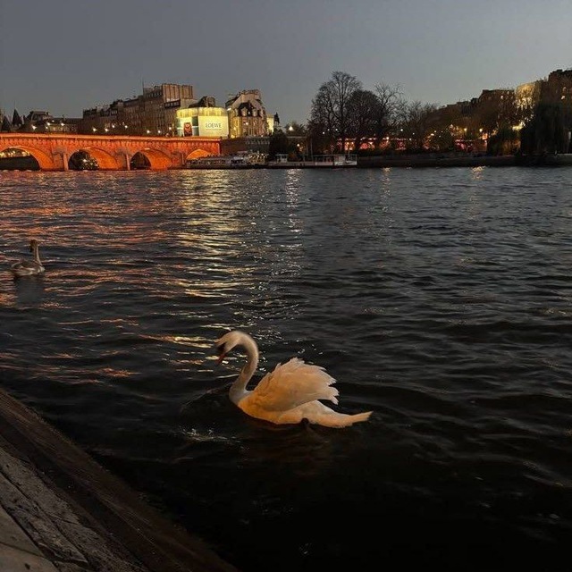 Channel Photo