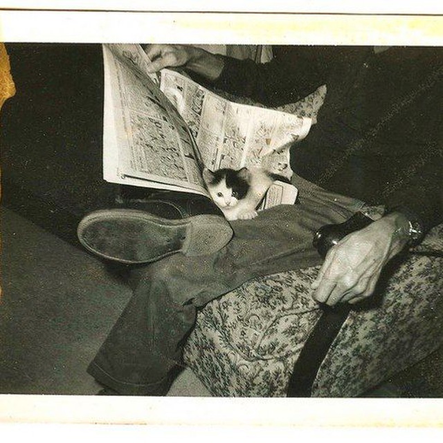 Channel Photo