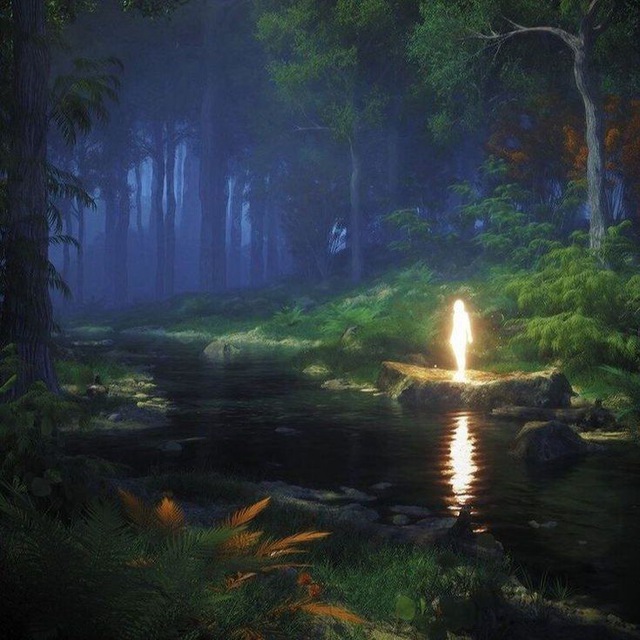 Channel Photo