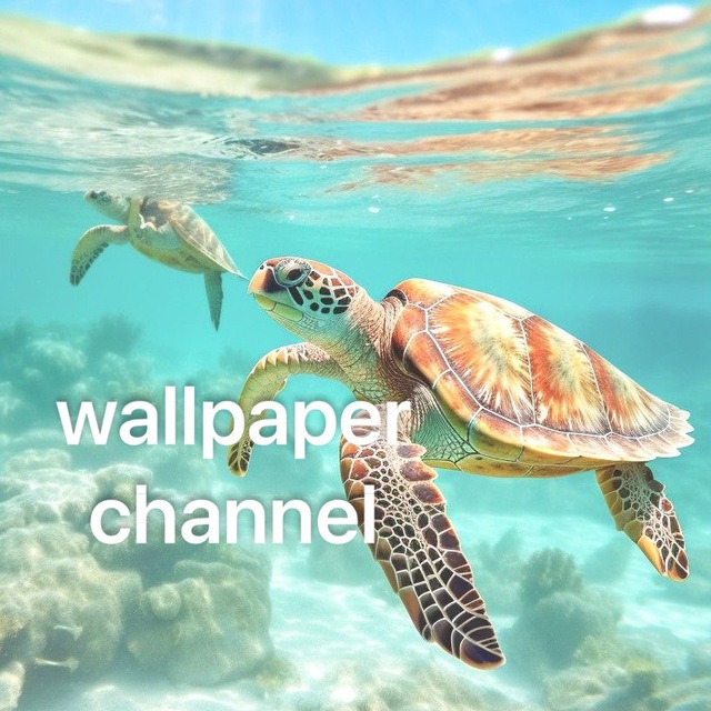 Channel Photo