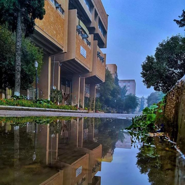 Channel Photo