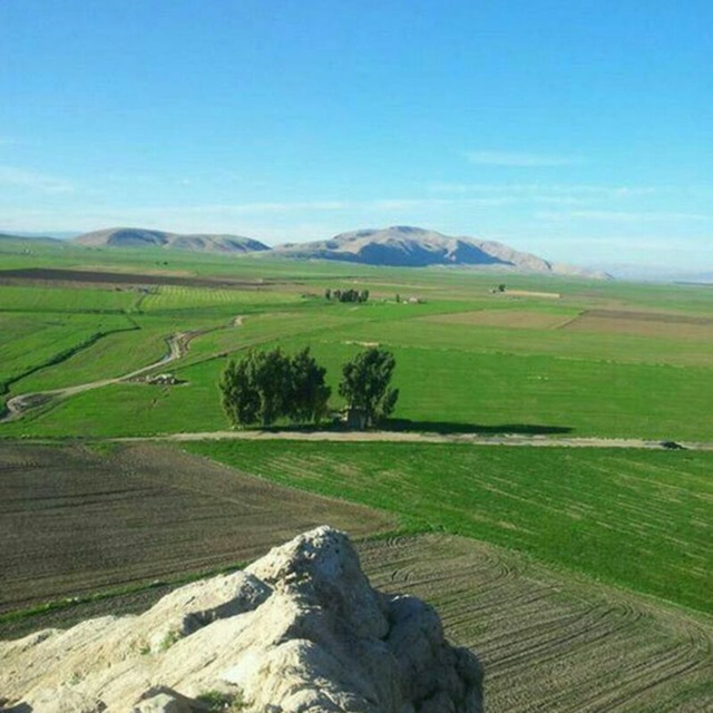 Channel Photo