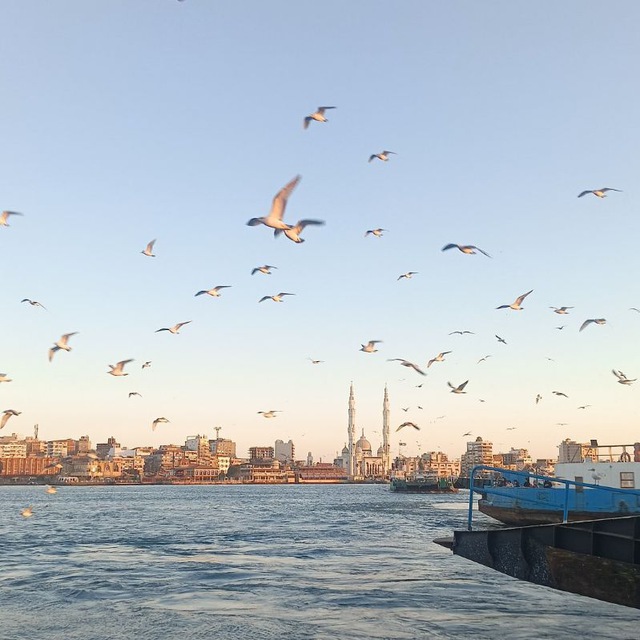 Channel Photo