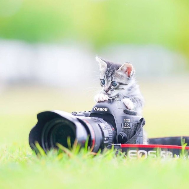 Channel Photo