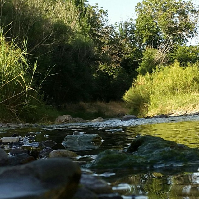 Channel Photo