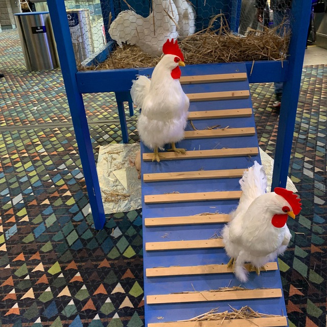 Channel Photo